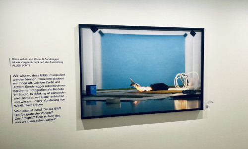 Ausstellung Alles Echt!