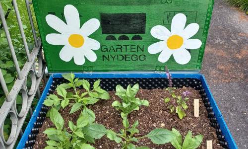 Ein multimedialer Gartenspaziergang