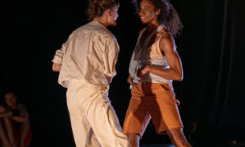 Danse - Flowers