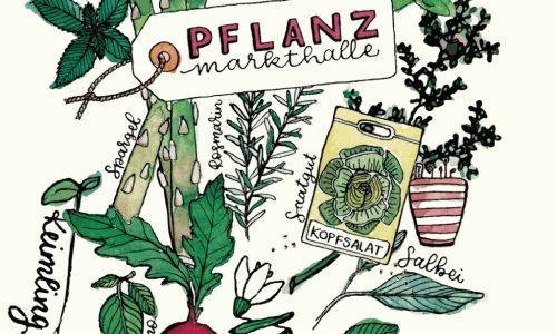 Pflanzmarkthalle