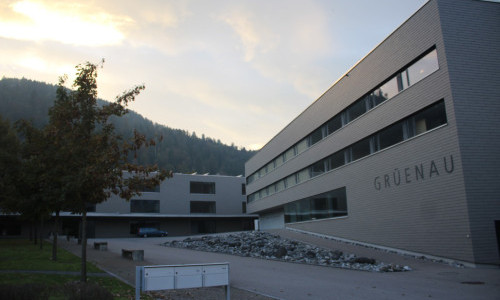 Gr&uuml;enau