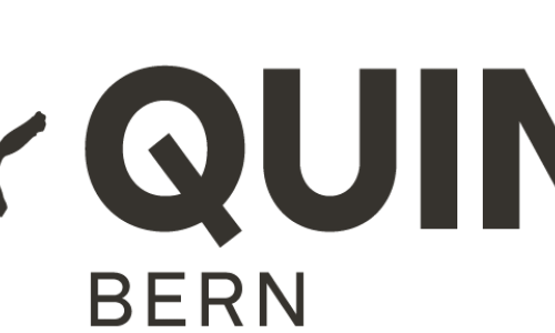 Quinnie cineCamera
