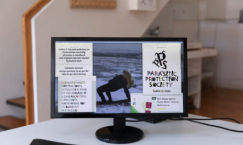 Lena Violetta Leitner: Para(rt)sitic Protection Society